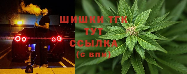 круглые Гусев
