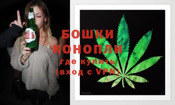 круглые Гусев
