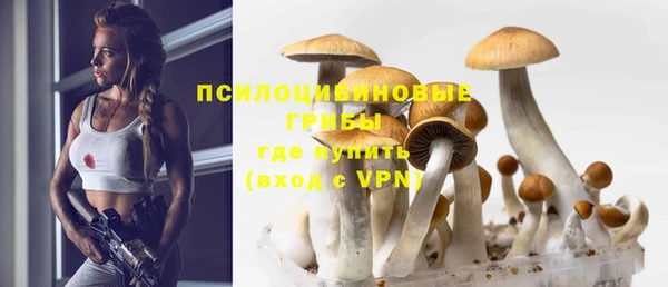 ешки Гусиноозёрск