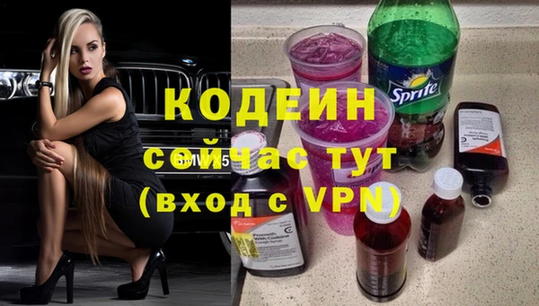 круглые Гусев