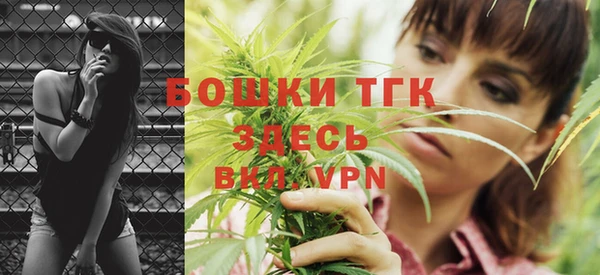 спиды Удомля
