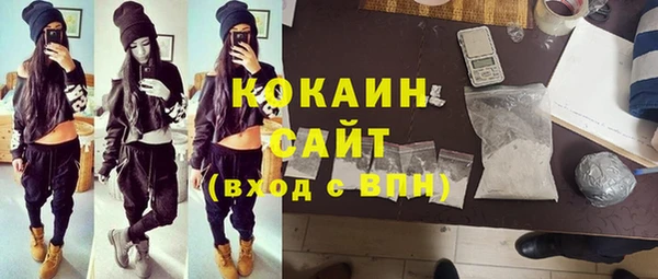 круглые Гусев