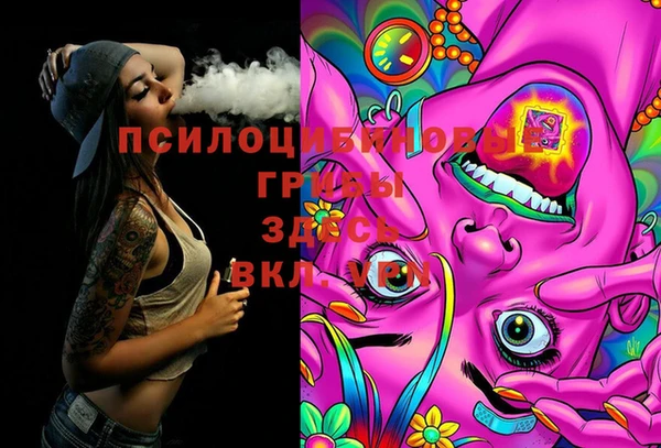 ешки Гусиноозёрск