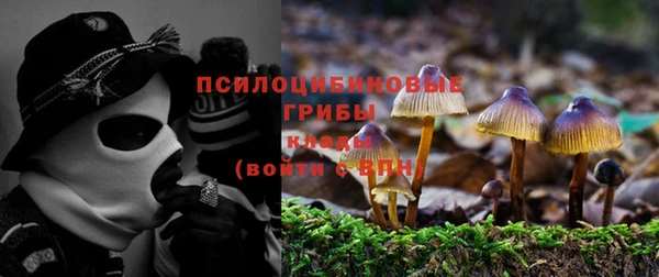 ешки Гусиноозёрск