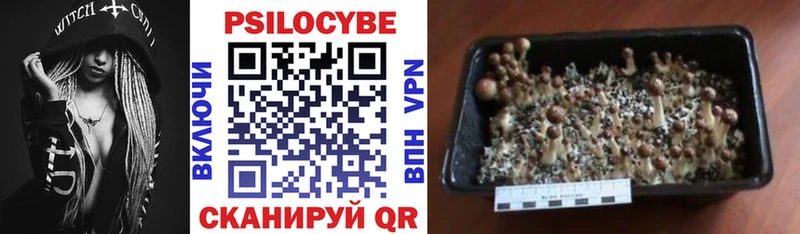 Галлюциногенные грибы ЛСД Еманжелинск